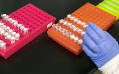 World Health Summit 2022: Press accreditation now open