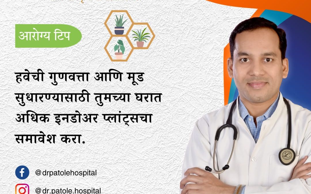 Indoor Greenery: Enhance Air, Mood