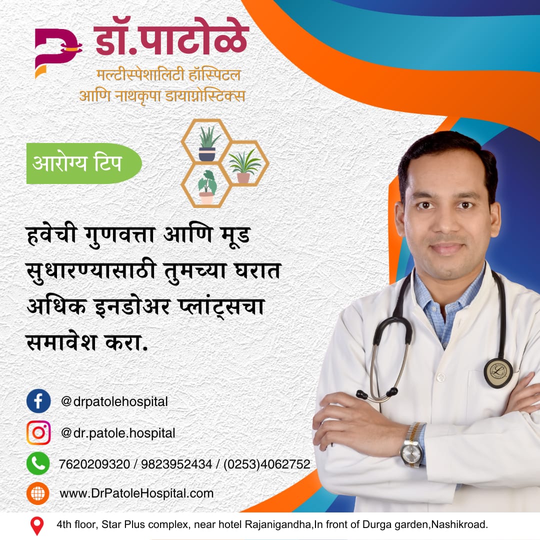 Indoor Greenery: Enhance Air, Mood